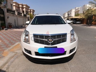 
                            
                            Cadillac SRX 4 - 2011 - GCC - FSH - LOW MILEAGE
                            
                        