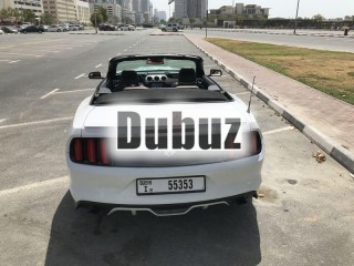 
                            
                            MUSTANG PREMIUM 2017 CONVERTIBLE ROOF
                            
                        