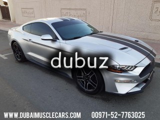 
                            
                            2019 MUSTANG PREMIUM ECO-BOOST COUPE
                            
                        