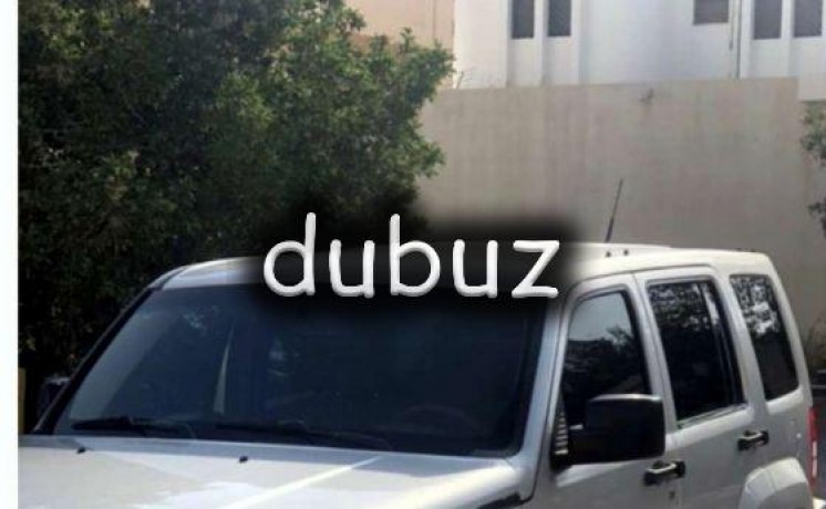 used-2009-liberty-in-ajman-big-9