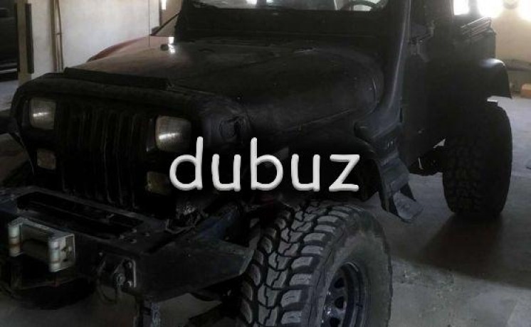 96-monster-yj-with-difflock-big-8