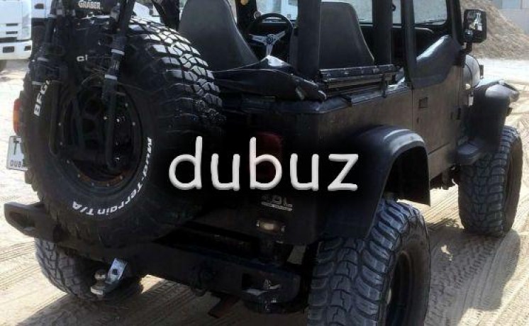 96-monster-yj-with-difflock-big-1