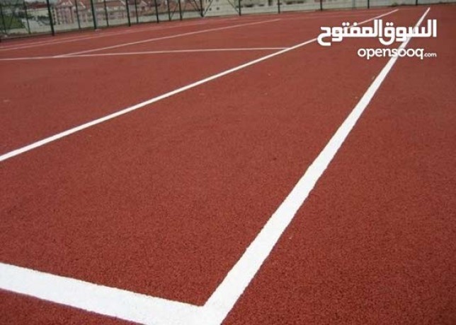 tjhyz-ardyat-mlaaab-kr-alsl-altns-alardy-mtaadd-alaghrad-big-4