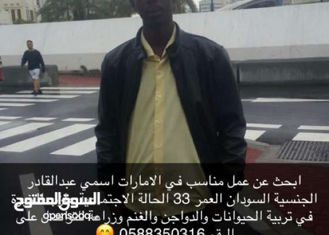 abhth-aan-aaml-bahd-mzaraa-ltrby-aldoajn-oalghnm-big-0