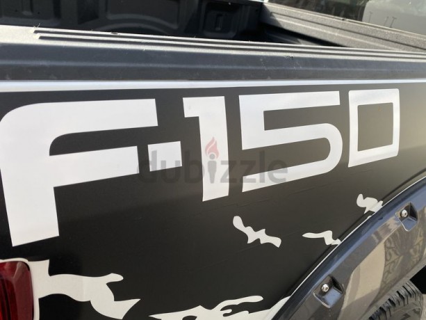 amazing-ford-f150-f-150-pick-up-50-v8-petrol-395-bhp-2020-raptor-body-kit-2018-big-6