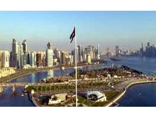 
                        تاسيس شركات                                            