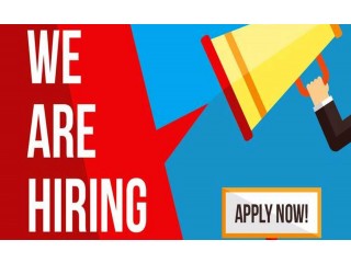 
                        Multiple Abu Dhabi Job Vacancy                                            