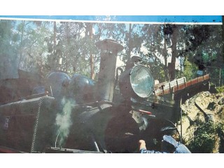 
                        junior world encyclopedia                                            