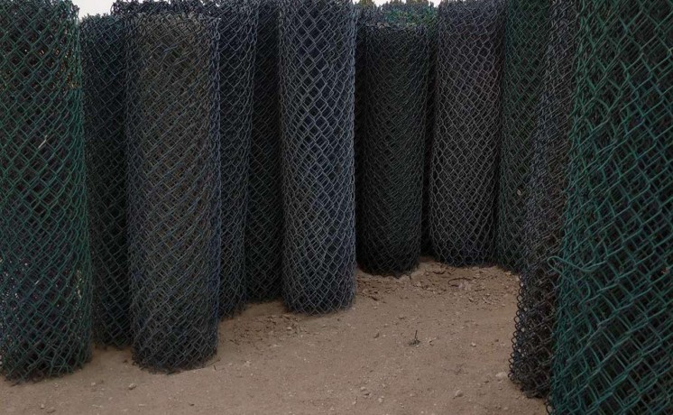 shbok-ohdayd-llaazb-big-6