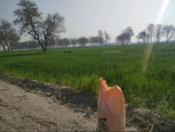 13-acre-agriculture-land-for-sale-in-jhang-near-gojra-motorway-big-2