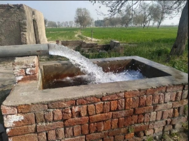 13-acre-agriculture-land-for-sale-in-jhang-near-gojra-motorway-big-1