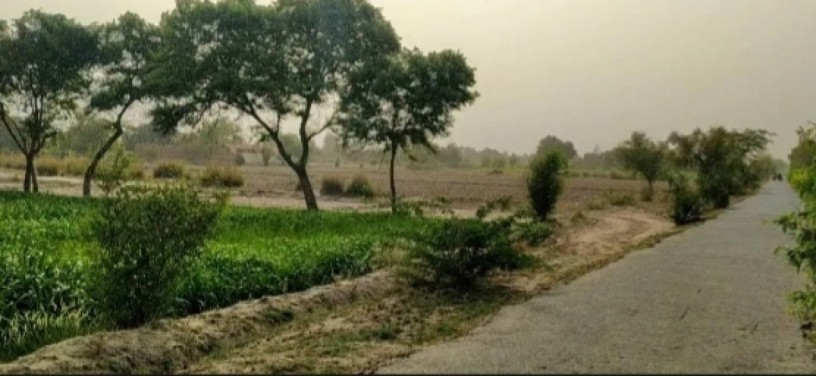 13-acre-agriculture-land-for-sale-in-jhang-near-gojra-motorway-big-3