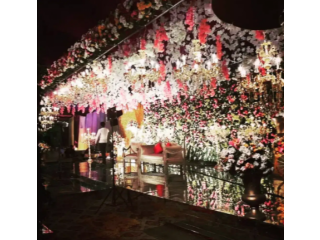 Party Decorator, Event Management & Planner