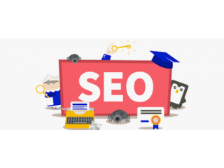 An Expereinced SEO Expert Required At Transport And Logistic office