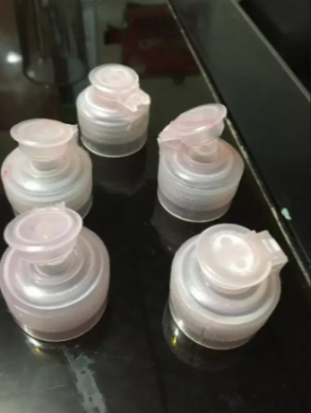pet-bottles-hand-pump-fliptop-caps-big-2