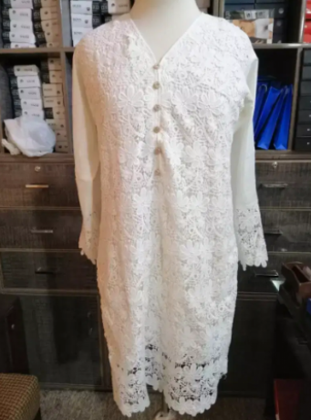 wholesale-ladies-kurti-frock-with-indian-net-work-big-1